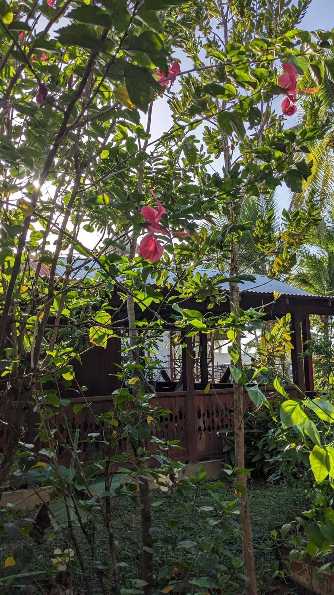 הוילה מנסניו Casas Del Mar מראה חיצוני תמונה